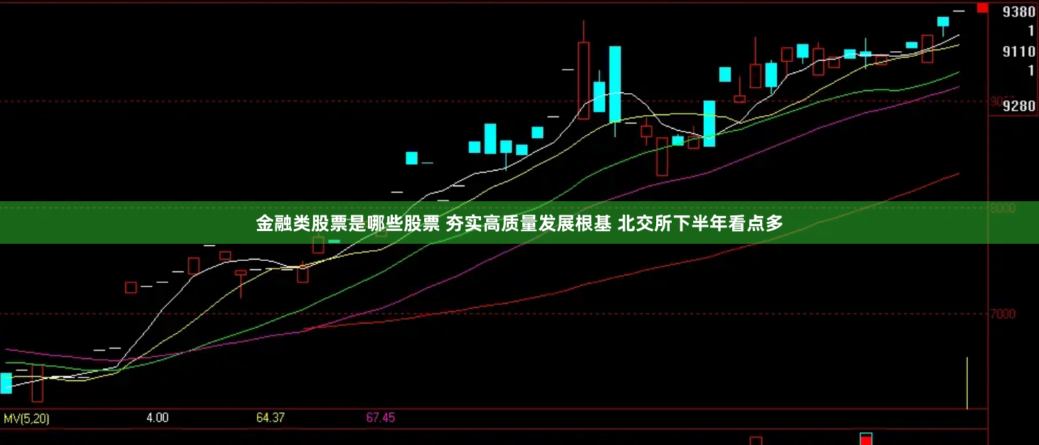 金融类股票是哪些股票 夯实高质量发展根基 北交所下半年看点多